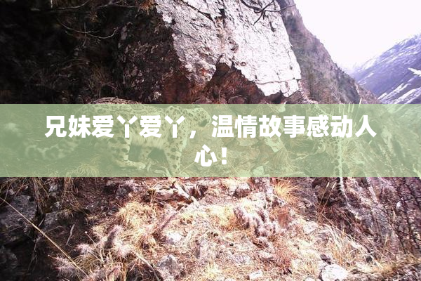 兄妹爱丫爱丫，温情故事感动人心！
