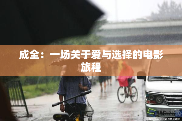 成全：一场关于爱与选择的电影旅程