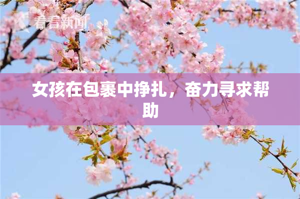 女孩在包裹中挣扎，奋力寻求帮助