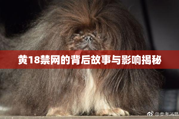 黄18禁网的背后故事与影响揭秘