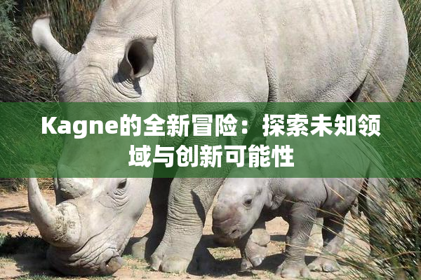 Kagne的全新冒险：探索未知领域与创新可能性