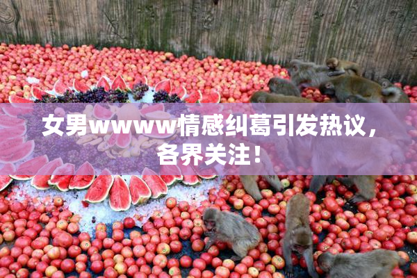 女男wwww情感纠葛引发热议，各界关注！