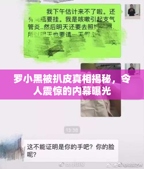 罗小黑被扒皮真相揭秘，令人震惊的内幕曝光