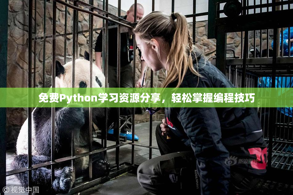 免费Python学习资源分享，轻松掌握编程技巧
