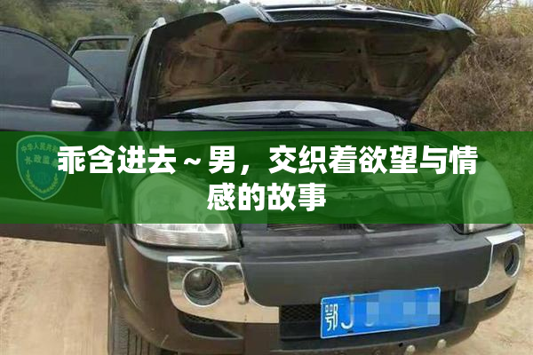乖含进去～男，交织着欲望与情感的故事