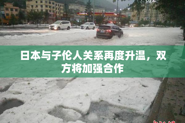 日本与子伦人关系再度升温，双方将加强合作