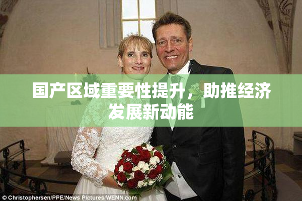 国产区域重要性提升，助推经济发展新动能