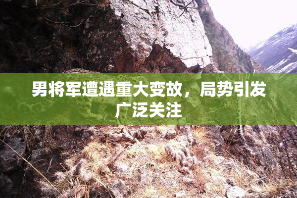男将军遭遇重大变故，局势引发广泛关注