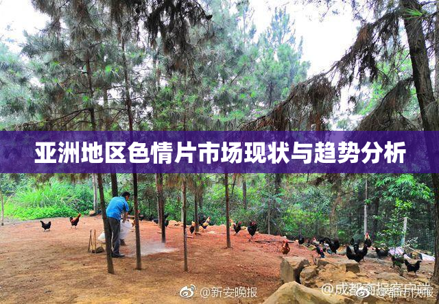 亚洲地区色情片市场现状与趋势分析