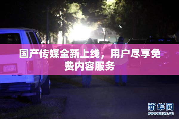 国产传媒全新上线，用户尽享免费内容服务