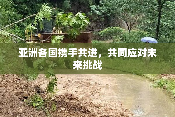 亚洲各国携手共进，共同应对未来挑战