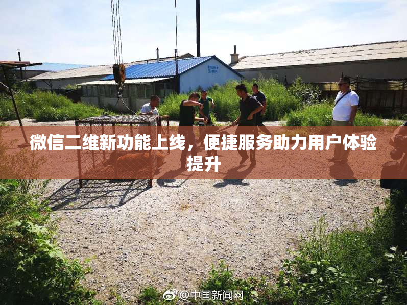 微信二维新功能上线，便捷服务助力用户体验提升