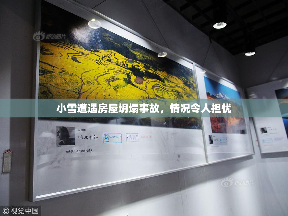 小雪遭遇房屋坍塌事故，情况令人担忧