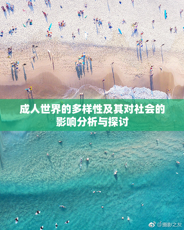 成人世界的多样性及其对社会的影响分析与探讨