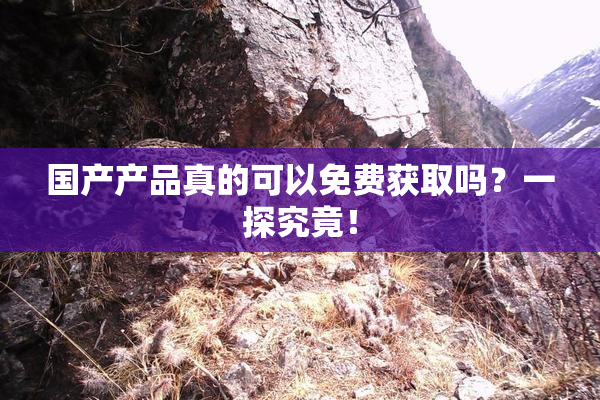 国产产品真的可以免费获取吗？一探究竟！