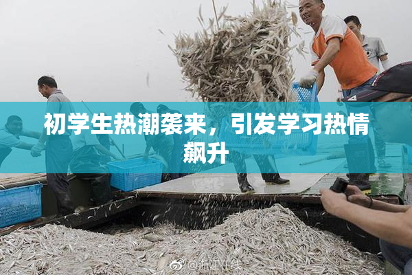 初学生热潮袭来，引发学习热情飙升