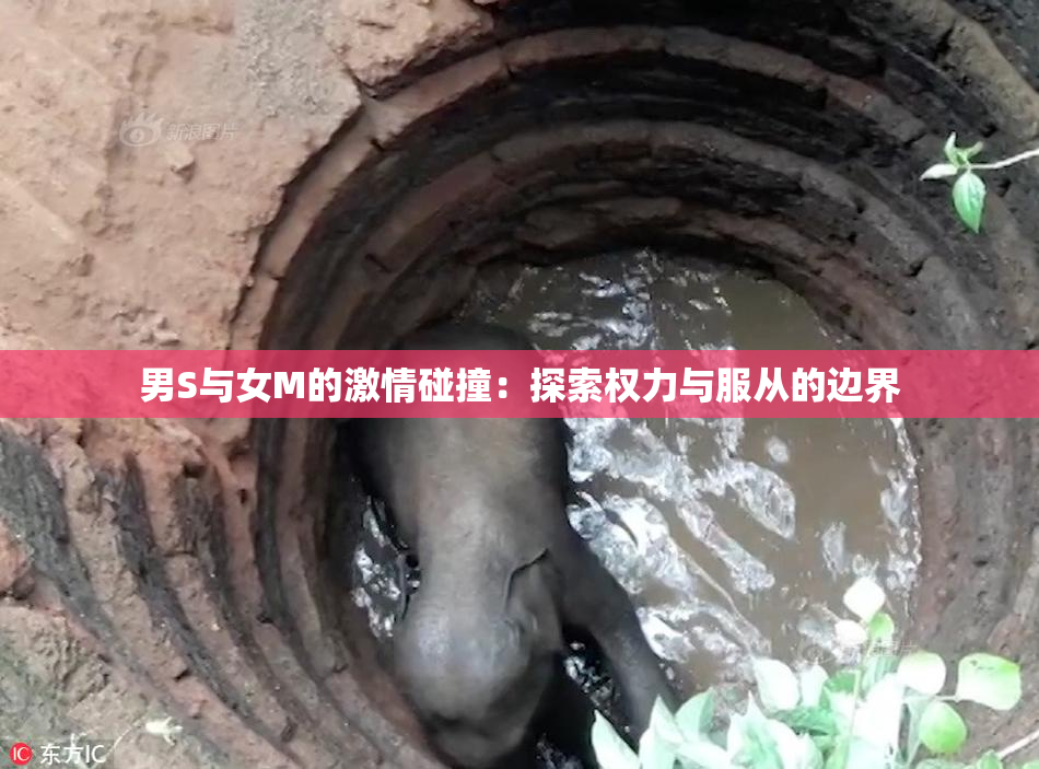 男S与女M的激情碰撞：探索权力与服从的边界
