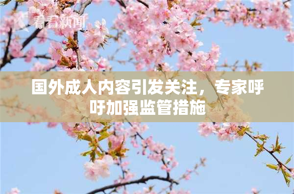 国外成人内容引发关注，专家呼吁加强监管措施