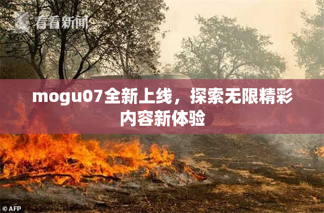 mogu07全新上线，探索无限精彩内容新体验