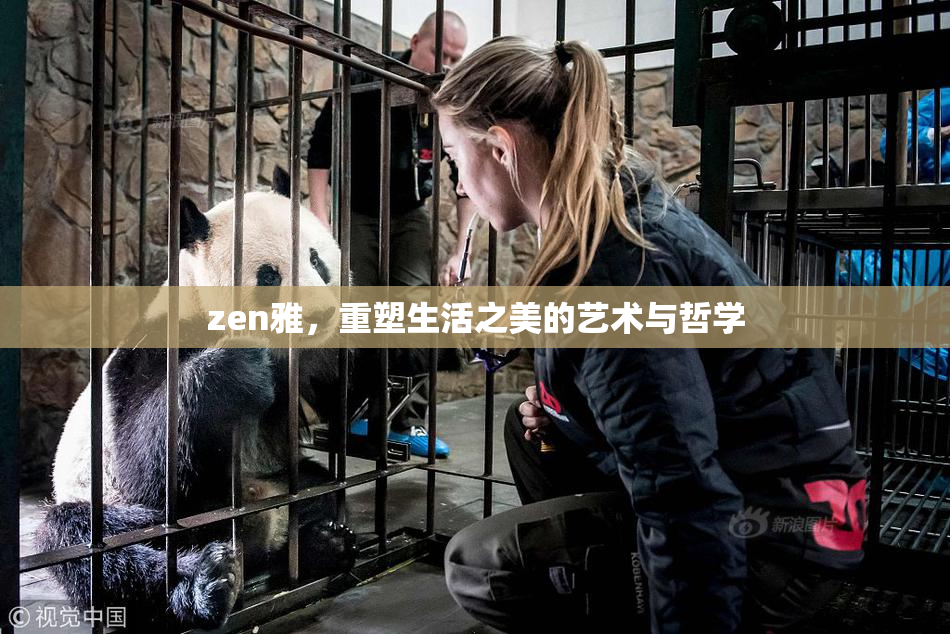 zen雅，重塑生活之美的艺术与哲学