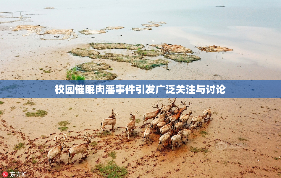 校园催眠肉淫事件引发广泛关注与讨论