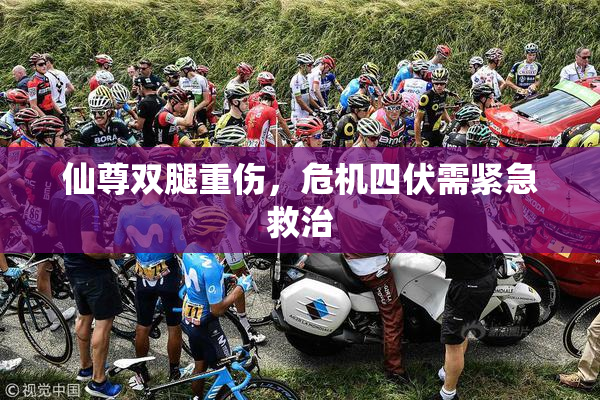 仙尊双腿重伤，危机四伏需紧急救治