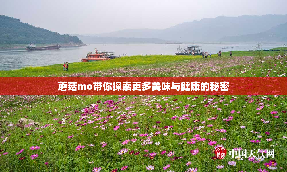 蘑菇mo带你探索更多美味与健康的秘密