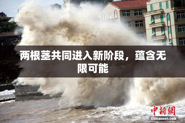 两根茎共同进入新阶段，蕴含无限可能