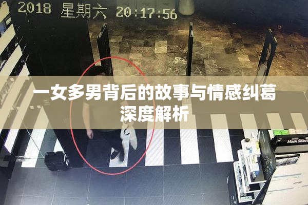 一女多男背后的故事与情感纠葛深度解析
