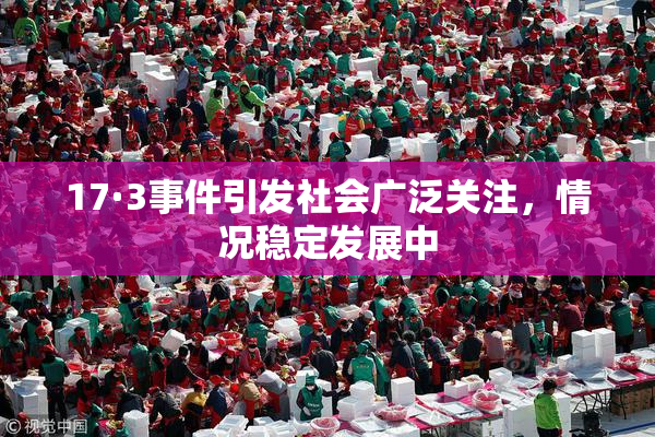 17·3事件引发社会广泛关注，情况稳定发展中