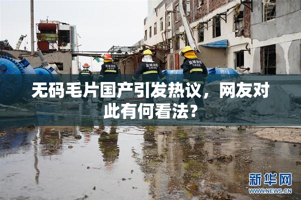 无码毛片国产引发热议，网友对此有何看法？
