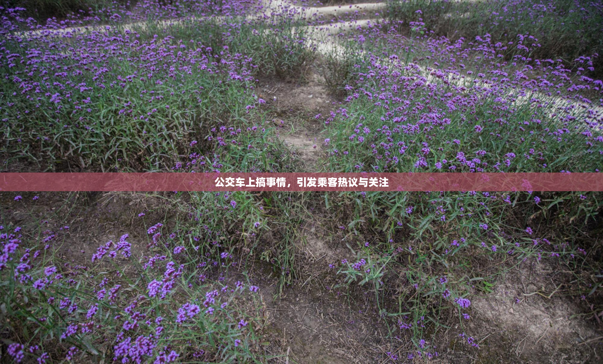 公交车上搞事情，引发乘客热议与关注