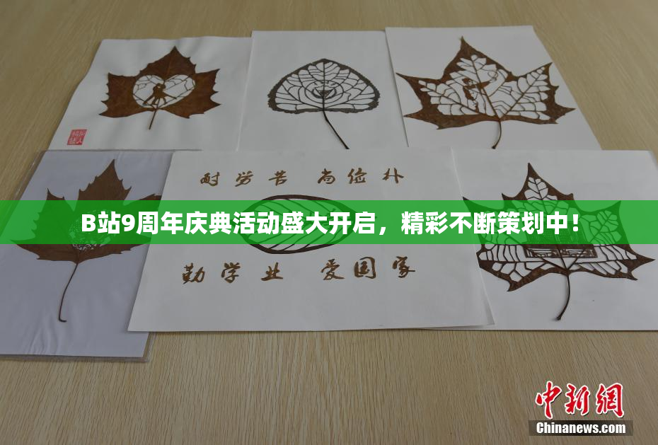B站9周年庆典活动盛大开启，精彩不断策划中！