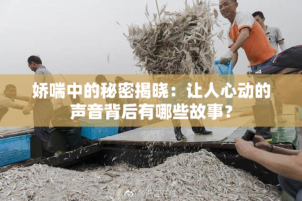 娇喘中的秘密揭晓：让人心动的声音背后有哪些故事？