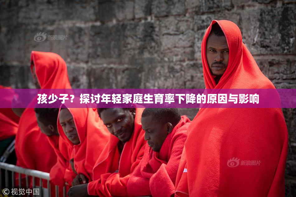 孩少子？探讨年轻家庭生育率下降的原因与影响