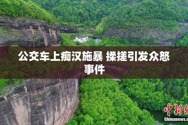 公交车上痴汉施暴 揉搓引发众怒事件