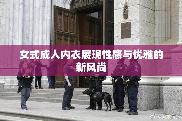 女式成人内衣展现性感与优雅的新风尚