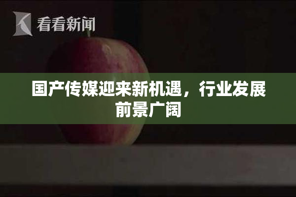 国产传媒迎来新机遇，行业发展前景广阔