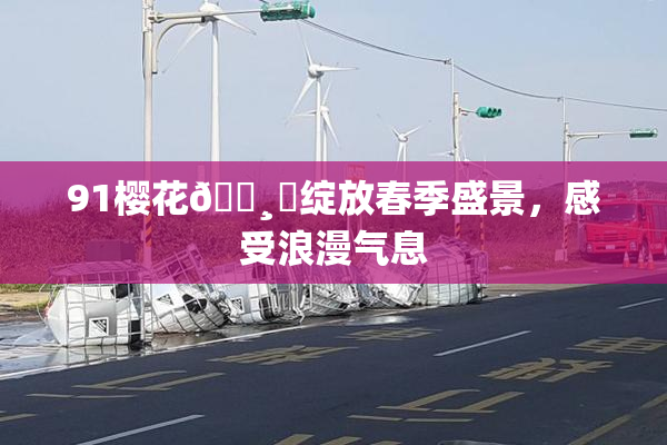 91樱花🌸‌绽放春季盛景，感受浪漫气息
