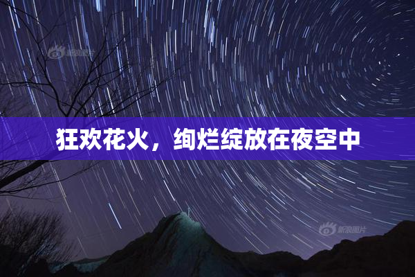 狂欢花火，绚烂绽放在夜空中