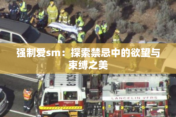 强制爱sm：探索禁忌中的欲望与束缚之美