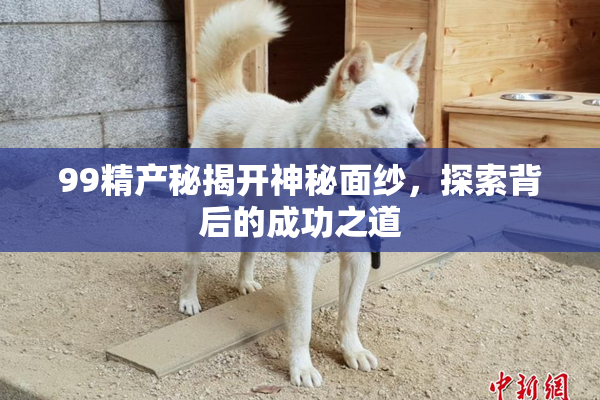 99精产秘揭开神秘面纱，探索背后的成功之道
