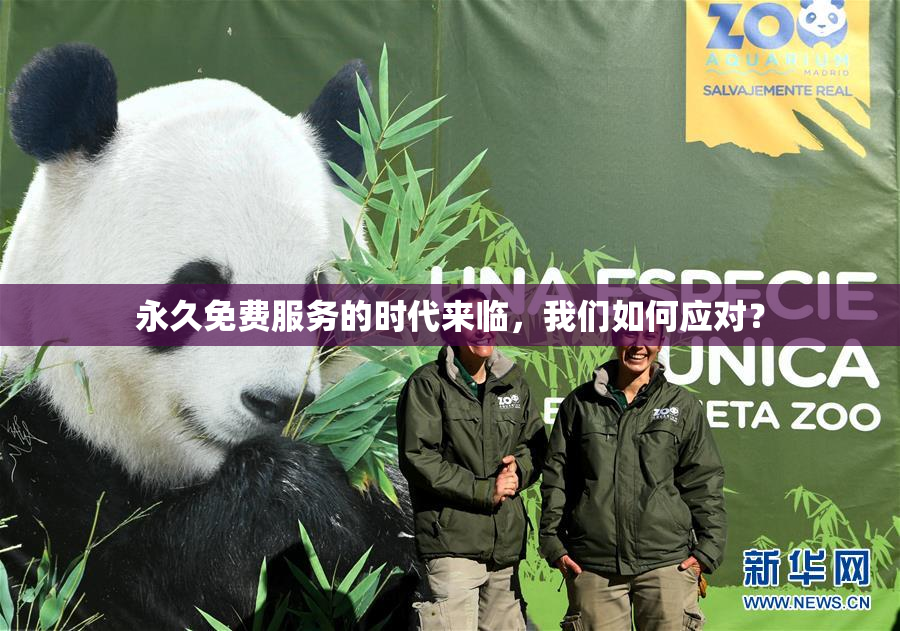 永久免费服务的时代来临，我们如何应对？