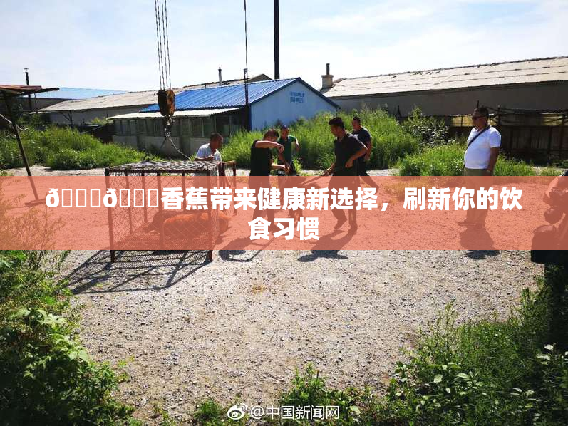 🔞🔞香蕉带来健康新选择，刷新你的饮食习惯