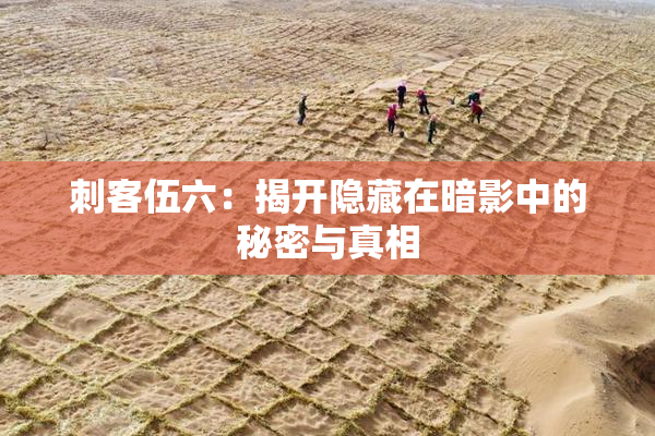 刺客伍六：揭开隐藏在暗影中的秘密与真相