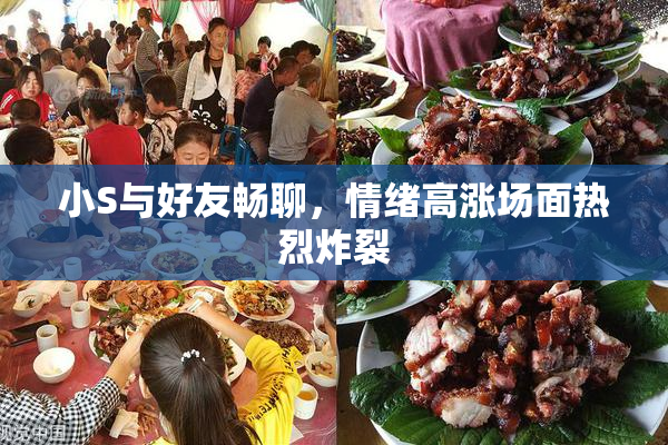 小S与好友畅聊，情绪高涨场面热烈炸裂