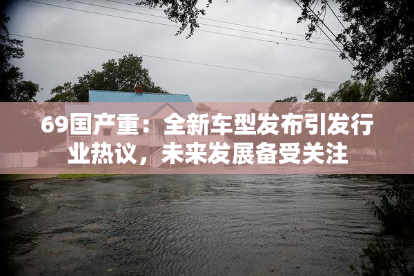 69国产重：全新车型发布引发行业热议，未来发展备受关注