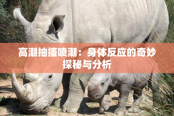 高潮抽搐喷潮：身体反应的奇妙探秘与分析