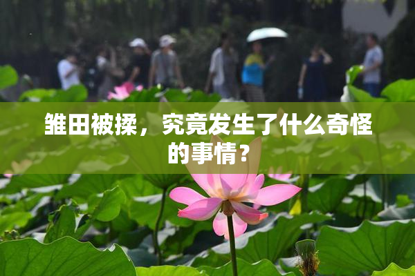 雏田被揉，究竟发生了什么奇怪的事情？