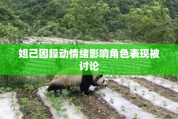 妲己因躁动情绪影响角色表现被讨论